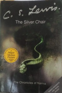 Image of The silver chair